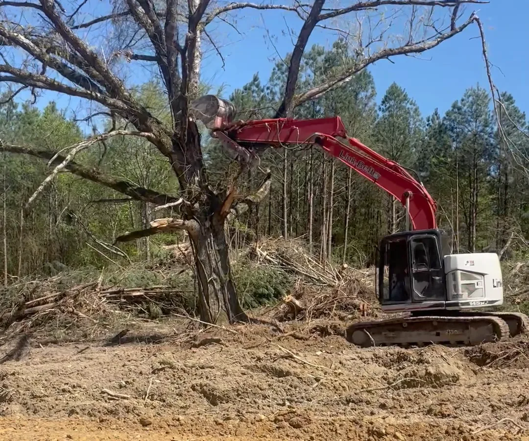 Land & Lot Clearing in Hot Springs, AR